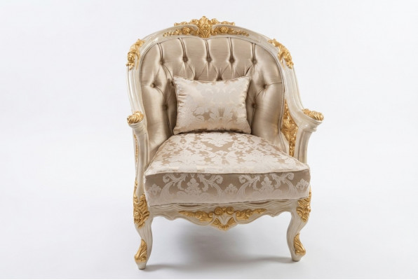 Edle woonkamer fauteuil gezellige fauteuil zitmeubel moderne zit nieuwe.