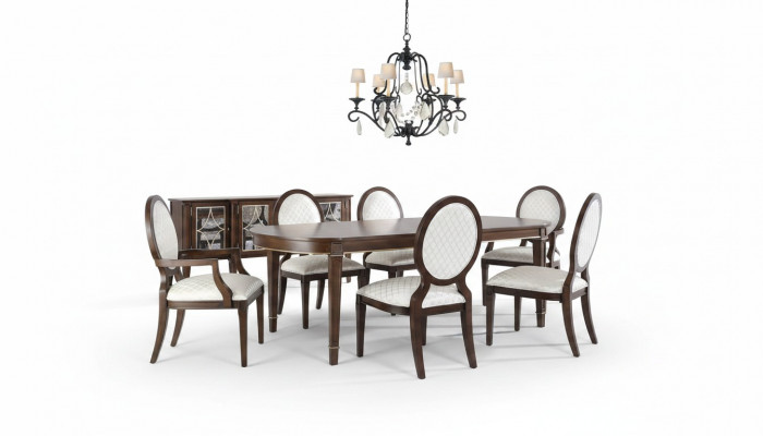 Instellen eettafel eettafel 4x stoelen 2x stoelen met armleuningen eetkamerset
