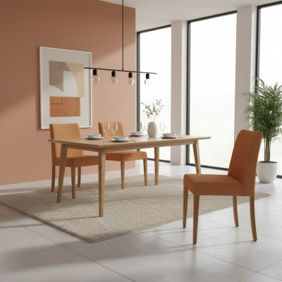 Luxe inrichting Moderne Stoel Bruin Nieuw Houten Stoel Ontwerp Eetkamer