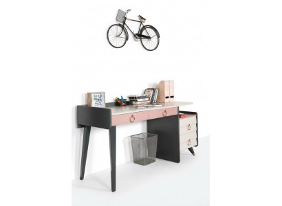 Sekretariatsbureaudesign Luxe schrijfmeubels Houten bureaus
