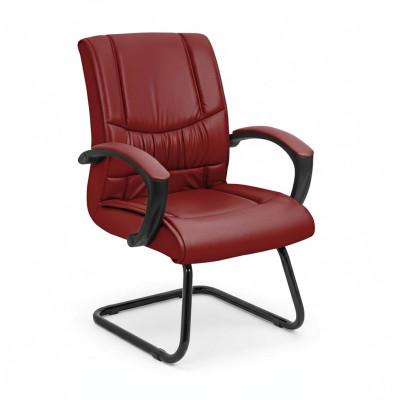 Wachtkamer Praktijk Kantoorinrichting Lederen Stoelen Fauteuils Vergaderstoel