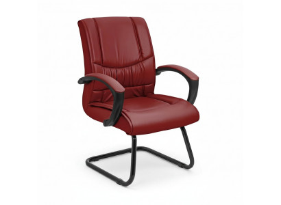 Wachtkamer Praktijk Kantoorinrichting Lederen Stoelen Fauteuils Vergaderstoel