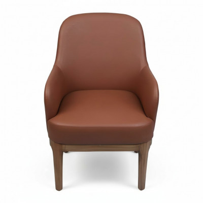 Bruine woonkamer fauteuil ontwerper single luxueuze fauteuil stoelen.