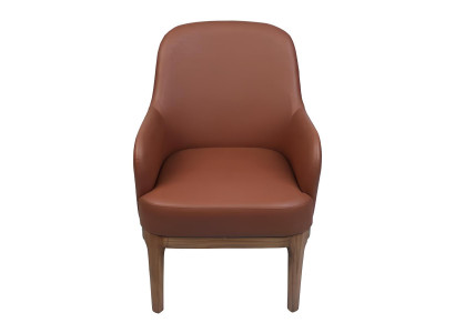 Bruine woonkamer fauteuil ontwerper single luxueuze fauteuil stoelen.
