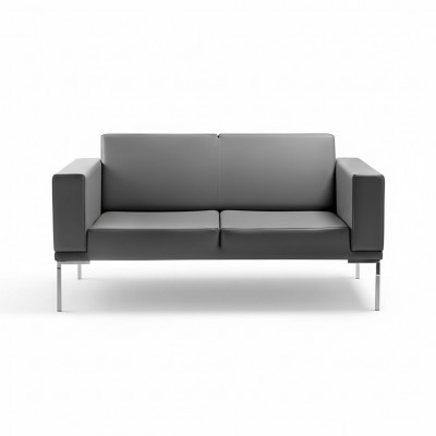 Grijze kantoorstijl 2-zits designerbank van kunstleer bankstellen 2-zits