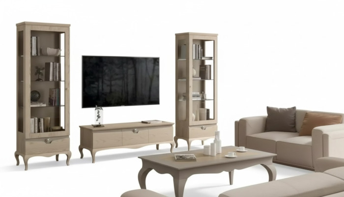 Woonkamer rtv vitrine woonwand kasten design art deco vitrine set.  -> Woonkamer RTV vitrine woonwand kasten design art deco vitrine set.