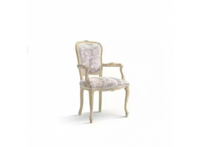 Fauteuil met armleuning Luxe stoel Woonkamer Eetkamer Fauteuil