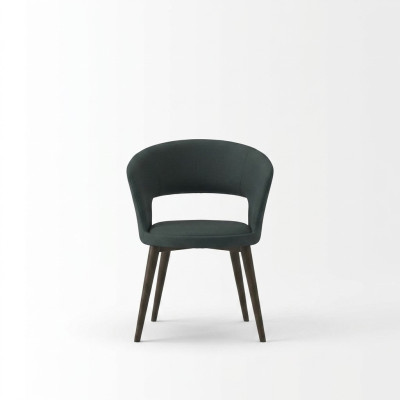 Eetkamerstoelmeubelen Modern Luxe Ontwerp Inrichting Stoelen Hout Nieuw
