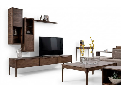 Woonkamerset met wandmeubel, plank en tv-standaard in moderne ontwerpen Wohnwand