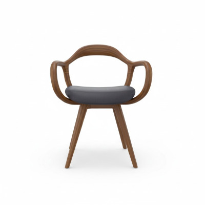 Stoelen Woonkamer Eetkamer Fauteuil Houten stoel met armleuning Eetkamer meubels