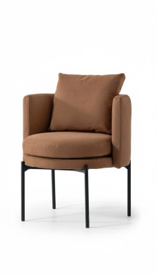 Eetkamer Moderne Stoel Luxe Ontwerpen Armstoelen Meubels Armstoelen