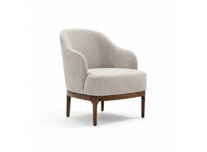 Moderne woonkamer fauteuil luxueus ontwerp grijs kleur Lounge Club Grijs