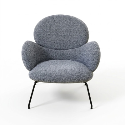 Fauteuil Stoel Gestoffeerde stoel fluweel Loungestoel Woonkamer Eetkamer Grijs