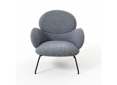 Fauteuil Stoel Gestoffeerde stoel fluweel Loungestoel Woonkamer Eetkamer Grijs