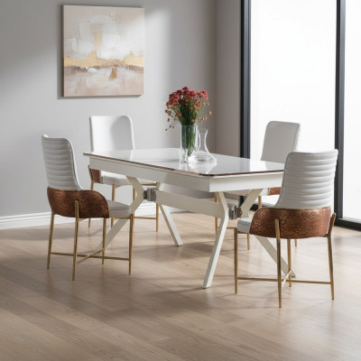 Set eetkamerstoelen 6x stoelen + eettafel luxe meubelset nieuw