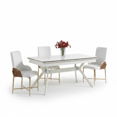 Set eetkamerstoelen 6x stoelen + eettafel luxe meubelset nieuw