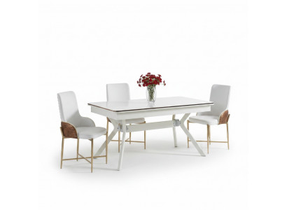 Set eetkamerstoelen 6x stoelen + eettafel luxe meubelset nieuw