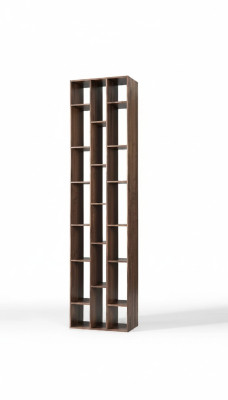 Boekenkast Boekenkast Plank Woonkamer Ontwerp Hout Bruin Nieuw