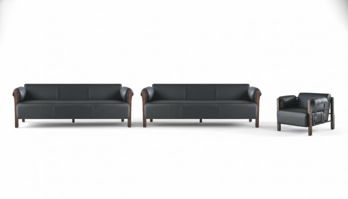 Sofagarnituren Bankstel 3-zits Fauteuil Zwart Hout Sofa's Lederen sofa's