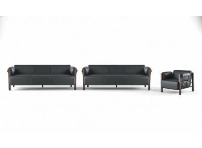 Sofagarnituren Bankstel 3-zits Fauteuil Zwart Hout Sofa's Lederen sofa's