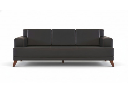 Lederen bank Modern 3-zits Zwart Effen Bank Bekleding Kussen Hout