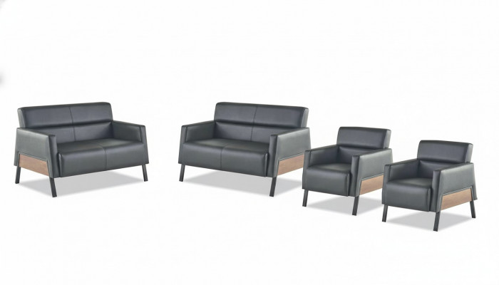 Zitmeubel Leren Set Leren Sofa 2-Zits Fauteuil Modern Zwart RVS