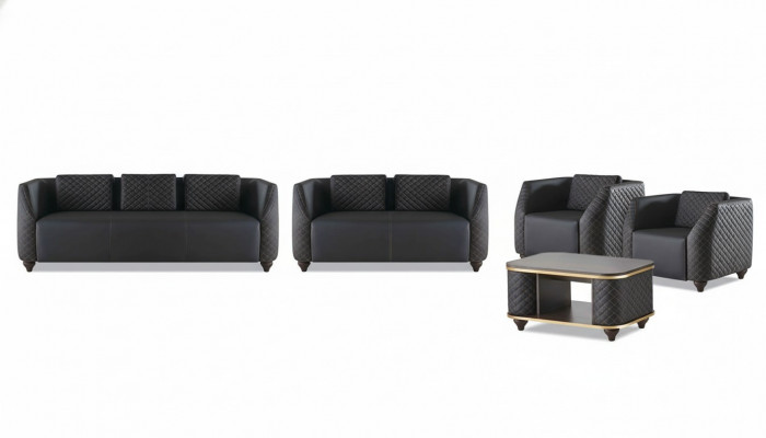Compleet set 3-zits 2-zits fauteuil salontafel lederen sofa's leer hout