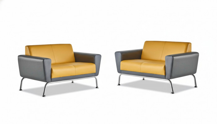Lederen banken Sofa-Set 2-zits Geel Grijs Roestvrij staal Moderne Bank Compleet