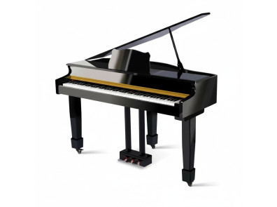 Piano’s & Vleugels category