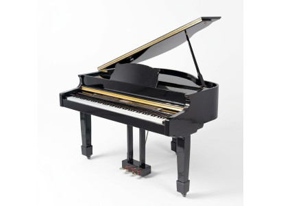 Digitale piano Mustat