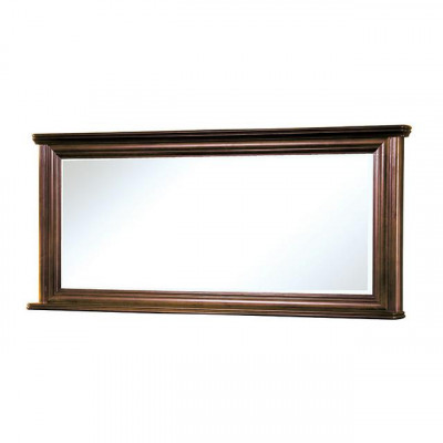 Klassieke ontwerper Echte houten frame XXL spiegel 157x71 spiegel - Model W-L1