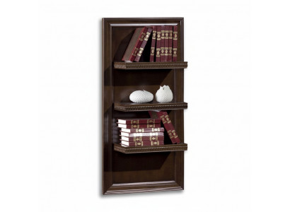 Woonkamer XXL boekenkast Massief hout 131cm plank rekken CD DVD boeken