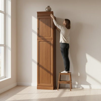 Klassieke kasten kast wandmeubel plank vitrine boekenkast Model BA-8