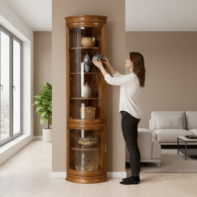 Klassieke kast boekenkast boekenkast vitrine vitrinekast glazen kast