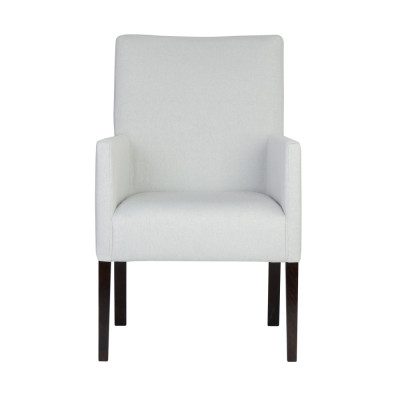 Ontwerp Lounge Club Stoel Eetkamer Leun Relax Bekleding Gastro Stoelen Fauteuil Prosty