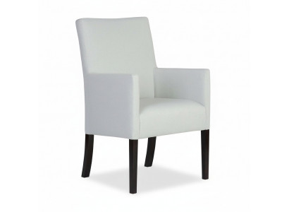 Ontwerp Lounge Club Stoel Eetkamer Leun Relax Bekleding Gastro Stoelen Fauteuil Prosty