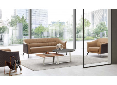 Kunstleder Sofa-Set in Dunkelbraun modern und komfortabel